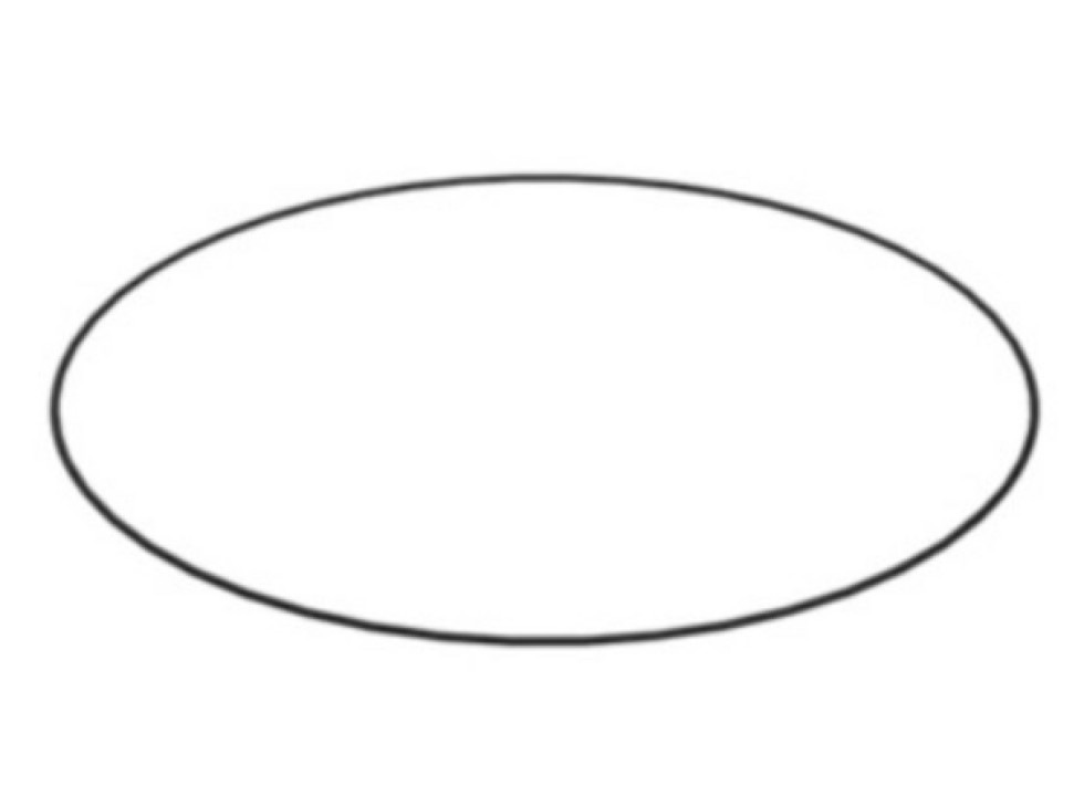 Кольцо уплотнительное (CA2699158 / 269-9158-1).