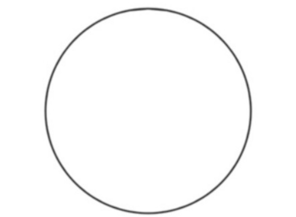 Кольцо уплотнительное (CA2699158 / 269-9158-1).
